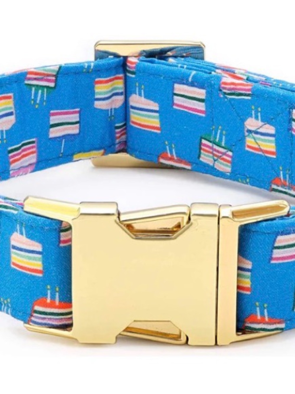 Dog collar make a wish by the foggy dog large
